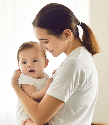 Imagen banner principal responsive